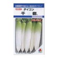 送料無料　[大根]　千都　9ml　タキイ種苗(株)　DF