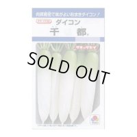 送料無料　[大根]　千都　9ml　タキイ種苗(株)　DF