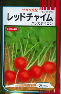 [大根]　はつかだいこん　レッドチャイム　20ｍｌ　サカタ交配　