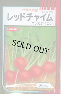 送料無料　[大根]　はつかだいこん　レッドチャイム　20ml　(株)サカタのタネ
