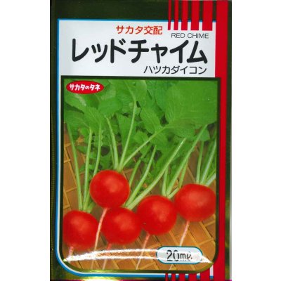 画像1: 送料無料　[大根]　はつかだいこん　レッドチャイム　20ml　(株)サカタのタネ