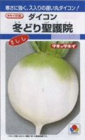 送料無料　大根　冬どり聖護院　18ml　タキイ種苗(株)　DF