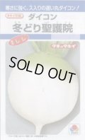 送料無料　大根　冬どり聖護院　18ml　タキイ種苗(株)　DF