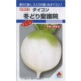 送料無料　大根　冬どり聖護院　18ml　タキイ種苗(株)　DF