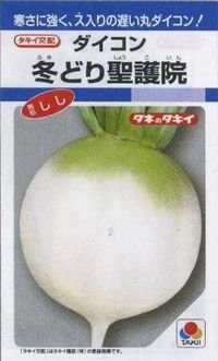 送料無料　大根　冬どり聖護院　18ml　タキイ種苗(株)　DF