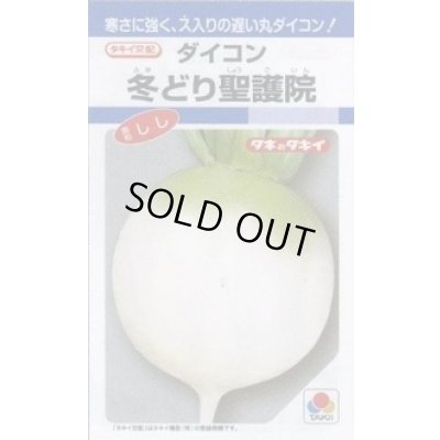 画像1: 送料無料　大根　冬どり聖護院　18ml　タキイ種苗(株)　DF