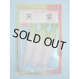 送料無料　[大根]　天宝　20ml　(株)サカタのタネ