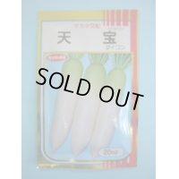 送料無料　[大根]　天宝　20ml　(株)サカタのタネ