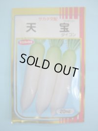 送料無料　[大根]　天宝　20ml　(株)サカタのタネ