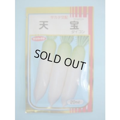 画像1: 送料無料　[大根]　天宝　20ml　(株)サカタのタネ