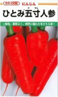 送料無料　[人参]　ひとみ五寸人参　20ml　カネコ種苗（株）