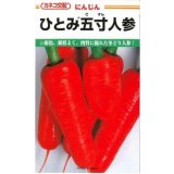 送料無料　[人参]　ひとみ五寸人参　20ml　カネコ種苗（株）