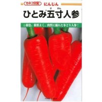 送料無料　[人参]　ひとみ五寸人参　20ml　カネコ種苗（株）