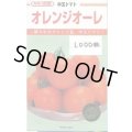 送料無料　[トマト/中玉トマト]　オレンジオーレ　1000粒　カネコ種苗（株）