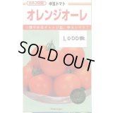 送料無料　[トマト/中玉トマト]　オレンジオーレ　1000粒　カネコ種苗（株）