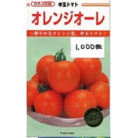 [トマト/中玉トマト]　送料無料！　オレンジオーレ　1000粒　カネコ交配