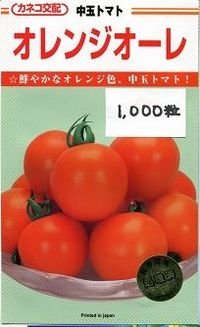 [トマト/中玉トマト]　送料無料！　オレンジオーレ　1000粒　カネコ交配