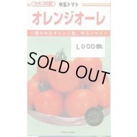 送料無料　[トマト/中玉トマト]　オレンジオーレ　1000粒　カネコ種苗（株）
