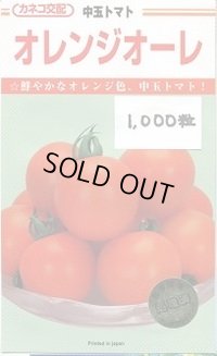 送料無料　[トマト/中玉トマト]　オレンジオーレ　1000粒　カネコ種苗（株）