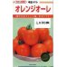 画像1: [トマト/中玉トマト]　送料無料！　オレンジオーレ　1000粒　カネコ交配 (1)