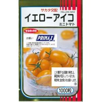 [トマト/ミニトマト]　送料無料！　イエローアイコ　1000粒　サカタ交配　