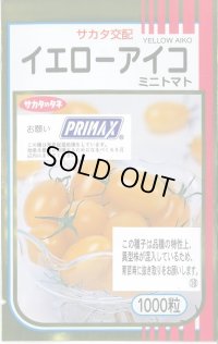 送料無料 [トマト/ミニトマト] イエローアイコ 1000粒 (株)サカタのタネ