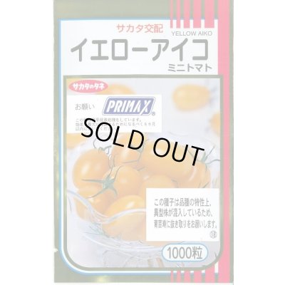 画像1: 送料無料 [トマト/ミニトマト] イエローアイコ 1000粒 (株)サカタのタネ