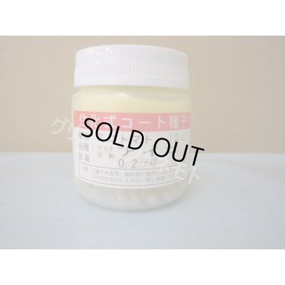 画像1: [トマト/ミニトマト]　アイコ　2L　ペレット種子　200粒　(株)サカタのタネ