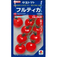 [トマト/中玉トマト]　送料無料！　フルティカ　1000粒　タキイ種苗（株）