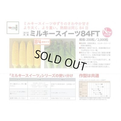画像2: 送料無料　[とうもろこし]　ミルキースイーツ84FT　200粒　トキタ種苗(株)