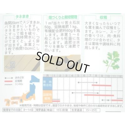 画像3: 送料無料　[ハーブの種]　パクチー　約250粒　(株)サカタのタネ　実咲250（002996）