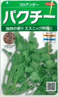 送料無料　[ハーブの種]　パクチー　約250粒　(株)サカタのタネ　実咲250（002996）