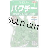 送料無料　[ハーブの種]　パクチー　約250粒　(株)サカタのタネ　実咲250（002996）