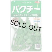 送料無料　[ハーブの種]　パクチー　約250粒　(株)サカタのタネ　実咲250（002996）