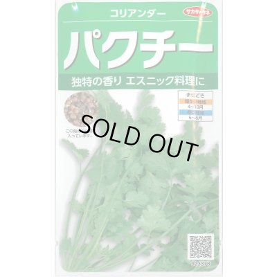 画像1: 送料無料　[ハーブの種]　パクチー　約250粒　(株)サカタのタネ　実咲250（002996）