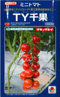 [トマト/ミニトマト]　送料無料！　ＴＹ千果　ペレット２Ｌ1000粒　タキイ種苗（株）