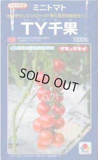 送料無料　[トマト/ミニトマト]　ＴＹ千果　1000粒　タキイ種苗(株)
