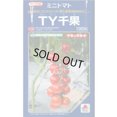 画像1: 送料無料　[トマト/ミニトマト]　ＴＹ千果　ペレット2L1000粒　タキイ種苗(株)