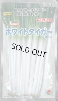 送料無料　[ねぎ]　ホワイトタイガー　1dl　タキイ種苗(株)