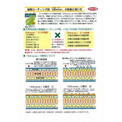 画像4: 植物コーティング剤　64never　300g