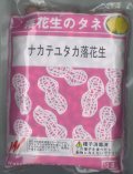 [落花生]　ナカテユタカ　1L(約590粒)　渡辺農事