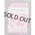 [落花生]　ナカテユタカ　1L(約590粒)　渡辺農事（株）