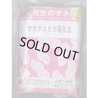 [落花生]　ナカテユタカ　1L(約590粒)　渡辺農事（株）