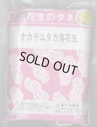 [落花生]　ナカテユタカ　1L(約590粒)　渡辺農事（株）