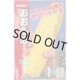 送料無料　[とうもろこし]　おおもの　200粒　ナント種苗(株)