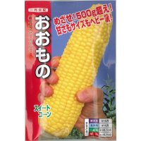 [とうもろこし]　おおもの　２００粒　ナント種苗（株）