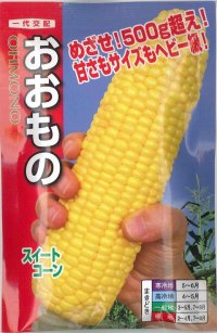 [とうもろこし]　おおもの　２００粒　ナント種苗（株）