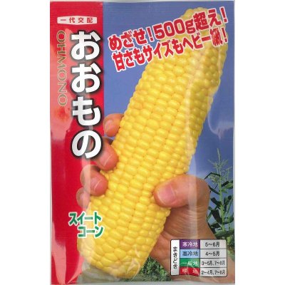 画像1: [とうもろこし]　おおもの　２００粒　ナント種苗（株）