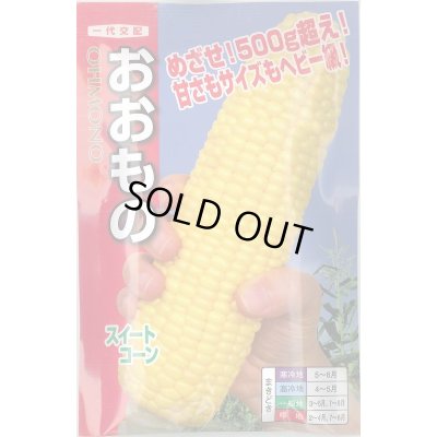 画像1: 送料無料　[とうもろこし]　おおもの　200粒　ナント種苗(株)