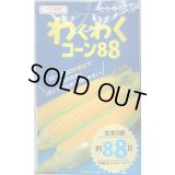 [とうもろこし]　わくわくコーン88　2000粒　カネコ種苗（株）
